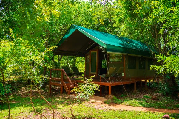 Kulu Safaris’ paradigm is to seamlessly blend the adventure of a Sri Lankan safari with exceptionally comfortable accommodation, while minimizing our ecological footprint, to offer you the definitive wildlife experience.