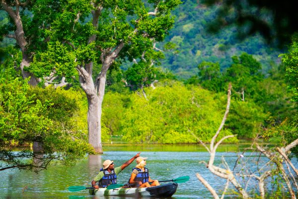 Kulu Safaris’ paradigm is to seamlessly blend the adventure of a Sri Lankan safari with exceptionally comfortable accommodation, while minimizing our ecological footprint, to offer you the definitive wildlife experience.