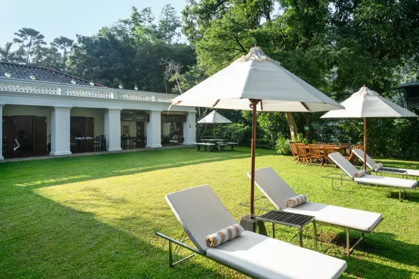 Garden Area 2