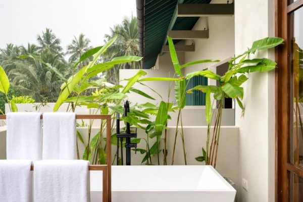 Palm View Room - Medium