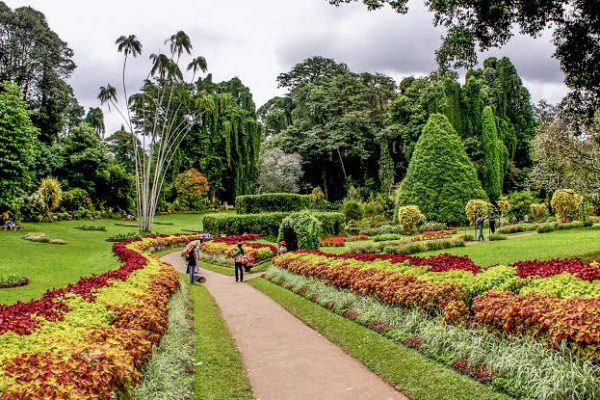 Peradeniya Botanical Gardens
