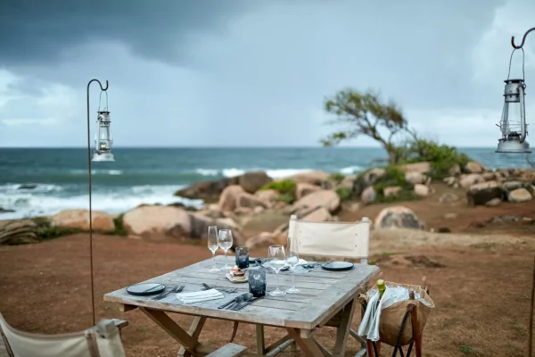 Wilderness Dining - Medium